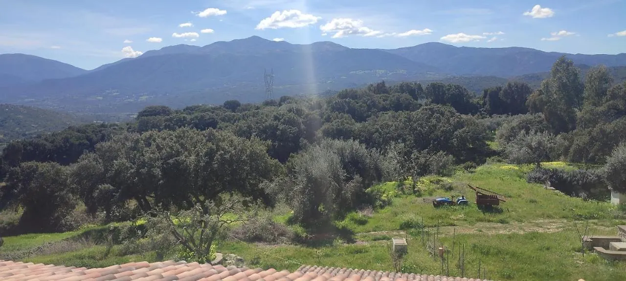 Il Nuraghe Bed & Breakfast Arbus
