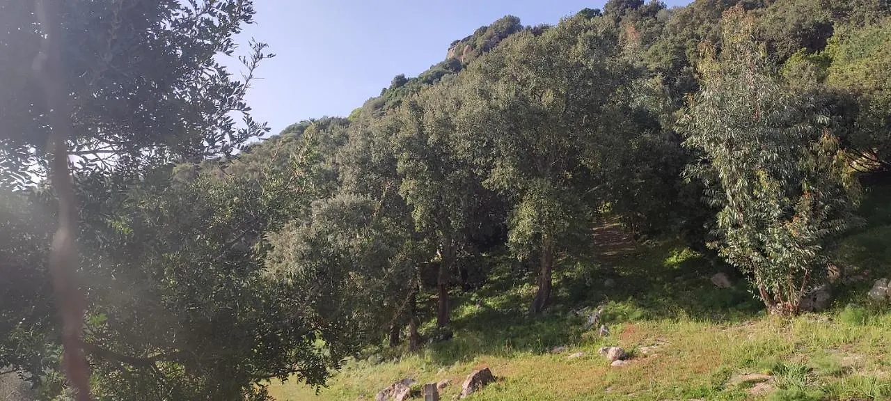**  Il Nuraghe Bed & Breakfast Arbus Italy