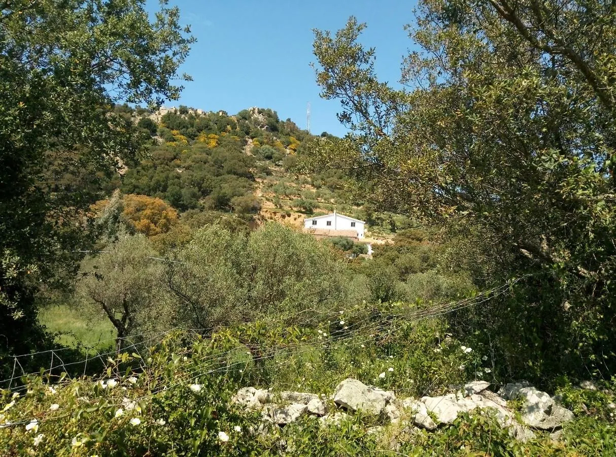 Il Nuraghe Bed & Breakfast Arbus