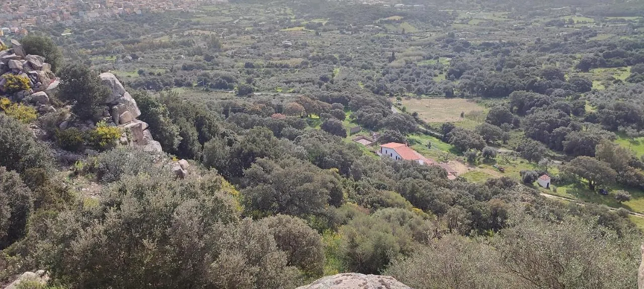 Il Nuraghe Bed & Breakfast Arbus