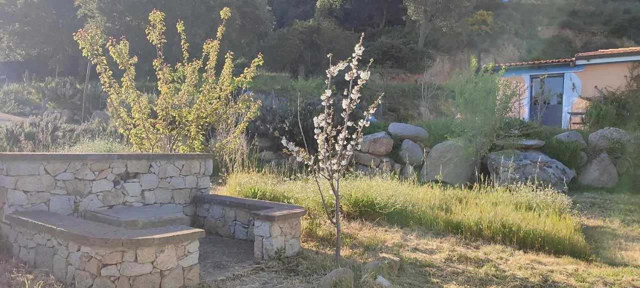 Il Nuraghe Bed & Breakfast Arbus