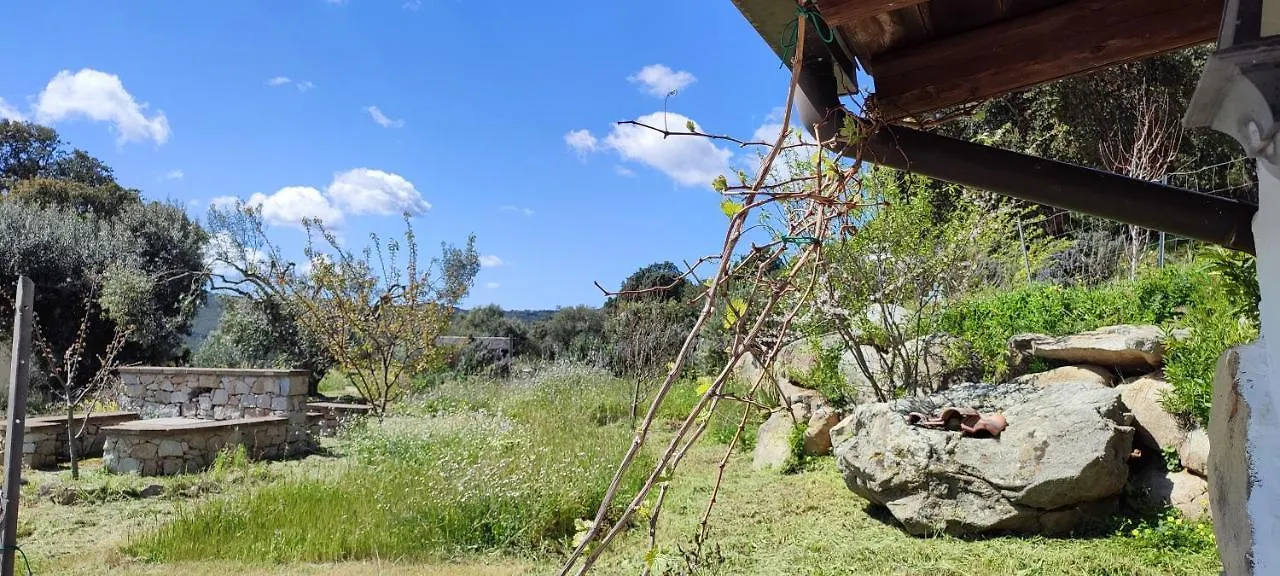 Il Nuraghe Bed & Breakfast Arbus